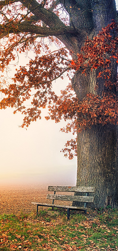 how I work Sarah Griggs